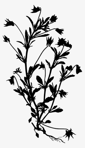 Wildflower Vector Silhouette Png Royalty Free - Viola Tricolor