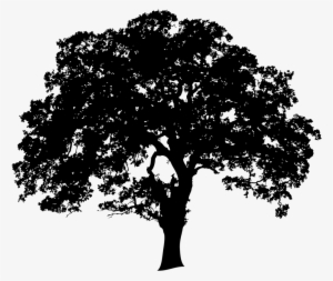 Landtrusttree-01 No Edging - Oak Tree Silhouette