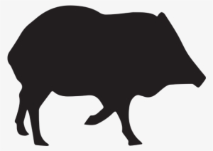 2018 Javelina / Turkey Hunting Rates - Javelina Silhouette