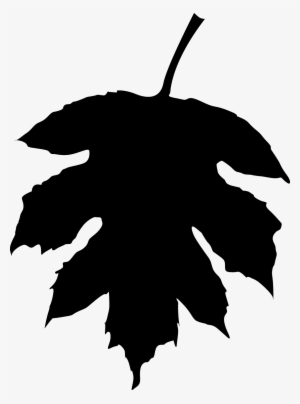 Fall Leaf Silhouette At Getdrawings - Fall
