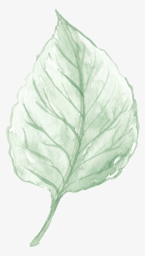 Watercolor Leaves Are Free From Material - Leaf