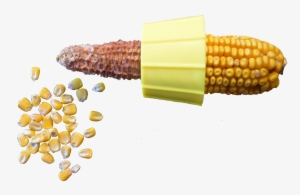 Field Corn Hand Sheller - Maize