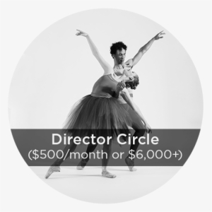 Director Donation Circles - Portable Network Graphics