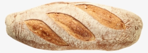 Bread Png Image - Bread Loaf Top View