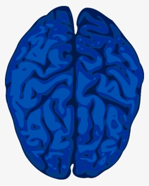 Blue Brain Svg Clip Arts 480 X 601 Px