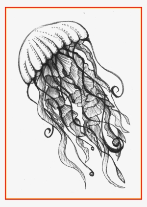 Astonishing Jellyfish Jelly Fish And Pic Of Drawing - Ocean Drawing ...