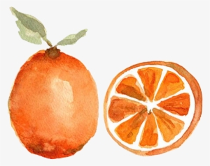Watercolor Painting Orange Fruit Printmaking - Fruity Water Color Png