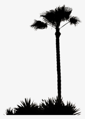 Palm Tree Silhouette Pre Cut Png By Photographyflower - Palm Tree Silhouette Png
