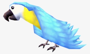 Picture Library Image Azure Png Runescape Wiki Fandom - Arara Azul Png