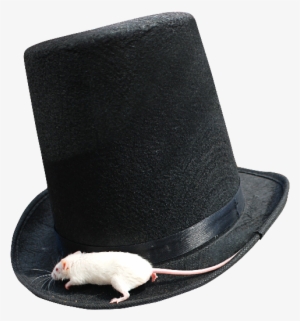 Magician Top Hat Png With White Mouse - Mouse