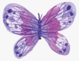 watercolor butterfly png - watercolor purple butterfly png