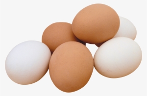 Egg - Eggs Clipart
