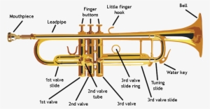 Visit - Mirage Tt103 B Flat Brass Trumpet With Case