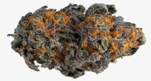 Medical Marijuana ,cannabis,weed, Og Kush,sour Diesel,purple - Cannabis