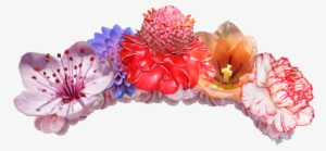 Share This Image - Flower Crown Transparent