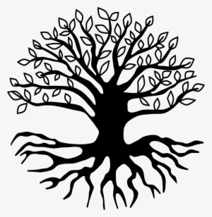 Root Tree Branch Drawing Leaf - Tree With Roots Clipart Png