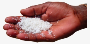 Salt Iodine Deficiency Flavor Taste Food