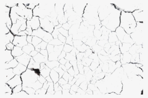 Vector Library Library Crack Texture Png For Free Download - Download