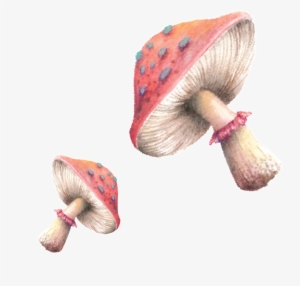 Hand Painted Mushrooms - Bullet Journal For Animal Lovers Mouse In Flowers:
