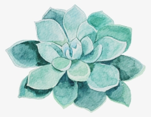Watercolor Succulent Png - Water Color Succulent Png