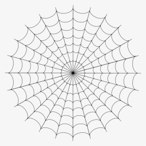 spider web png image - png spider web