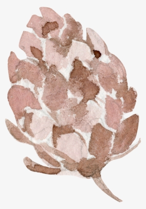 Flr - Protea