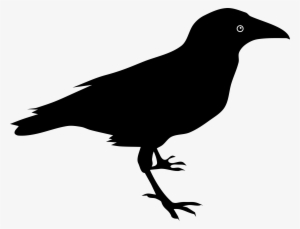 This Free Icons Png Design Of Raven By Rones