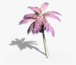 Palmera Palmeras Aesthetic Vaporwave Grunge Tumblr - Overlay Transparent Palm