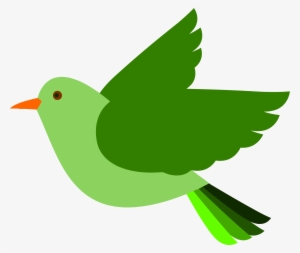 Bird Clipart png download - 2000*1160 - Free Transparent Nyctosaurus png  Download. - CleanPNG / KissPNG