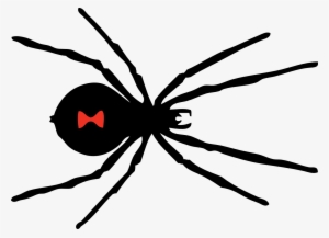 Black Widow Spider Svg Clip Arts 600 X 434 Px