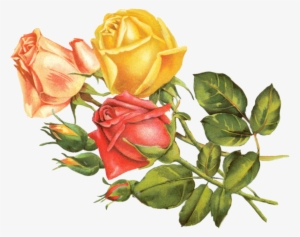 Rose Yellow By Jinifur On Clipart Library - Yellow Flower Vintage Png