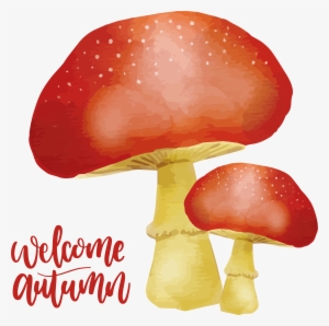 Svg Library Library Autumn Painting Download The Mushroom - Cogumelos Aquarela