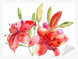 Beautiful Lily Flowers, Watercolor Illustration Sticker