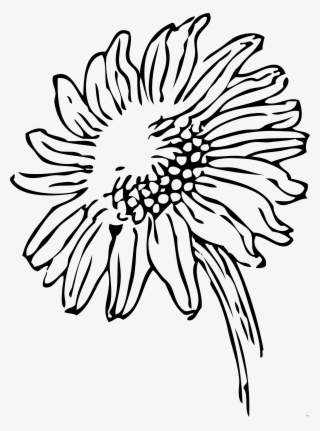 Cornfield Drawing Watercolor - Sunflowers Clip Art Black And White