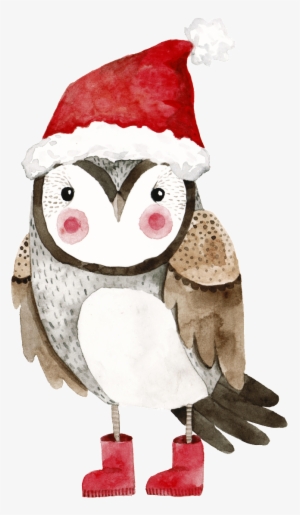 A Hand-painted Owl With A Christmas Hat - Christmas Raccoon Illustration