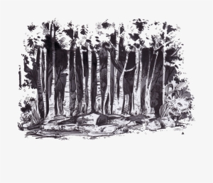 Featured image of post Easy Dark Forest Drawing Dark forest print by katarzyna kmiecik pencil forest landscape print trees drawing