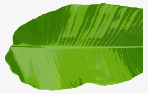 Jpg Royalty Free Thai Cuisine Clip Art Leaves Transprent - Banana Leaf Vector Png