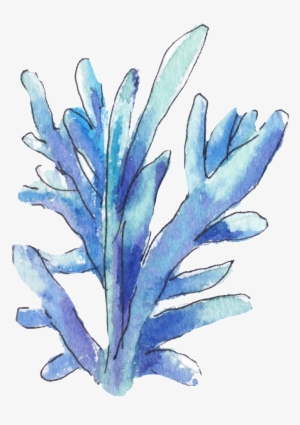 This Graphics Is Hand Painted A Blue Coral Png Transparent - Portable Network Graphics