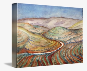 Judean Hills Near Israel - Gallery-wrapped Canvas Art Print 16 X 11 Entitled Judean
