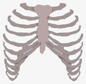 Rib Cage Png Png Free Download - Golf Ball With Skull Cage Tshirt