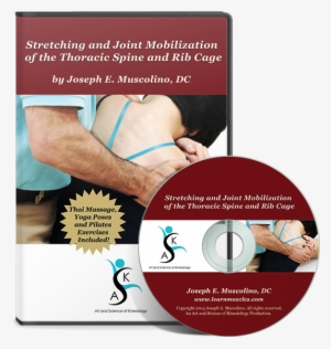 Stretching And Joint Mobilization Of The Thoracic Spine