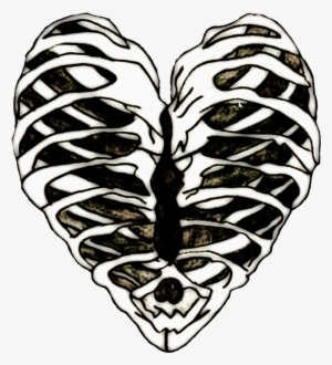 Edits Ribs Ribcage Heart Bones Art Stickers - Ribcage Drawing Transparent Background