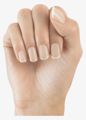 Free Png Nails Png Images Transparent - Elegant Touch Totally Bare Oval Nails