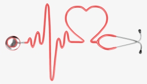 Principles Of Health Science