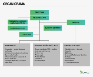 Organigrama Ibmcp - Organigrama De Un Invernadero