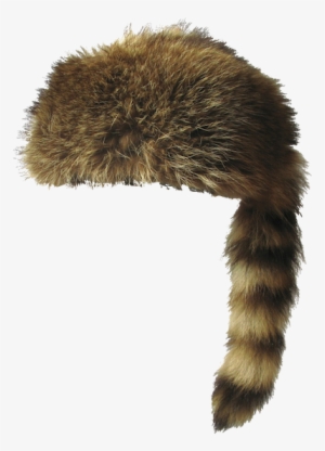 Coon Hat - Raccoon Hat Png