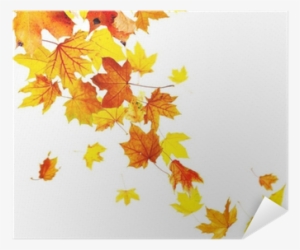 Autumn Falling Leaves Isolated On White Background - Fall Preschool Bucket List