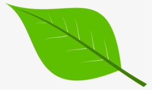 Green Leaf Clip Art At Clker - Leaf Cartoon Transparent Background