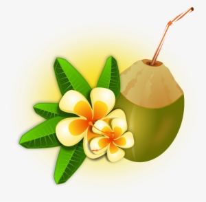 Coconut Cocktail - Hawaii Png