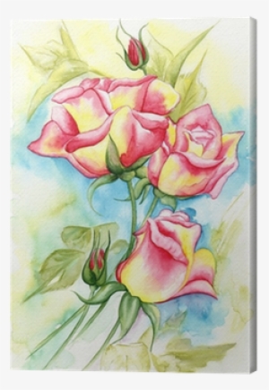 Watercolor Illustration Of A Beautiful Roses Flowers - Watercolor Painting